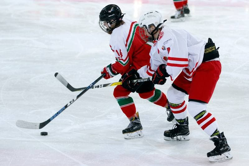 Ice Hockey. TCN. Poland - Hungary. 18.02.2018