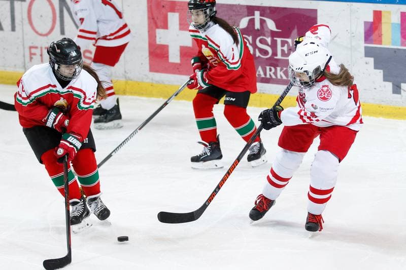 Ice Hockey. TCN. Poland - Hungary. 18.02.2018