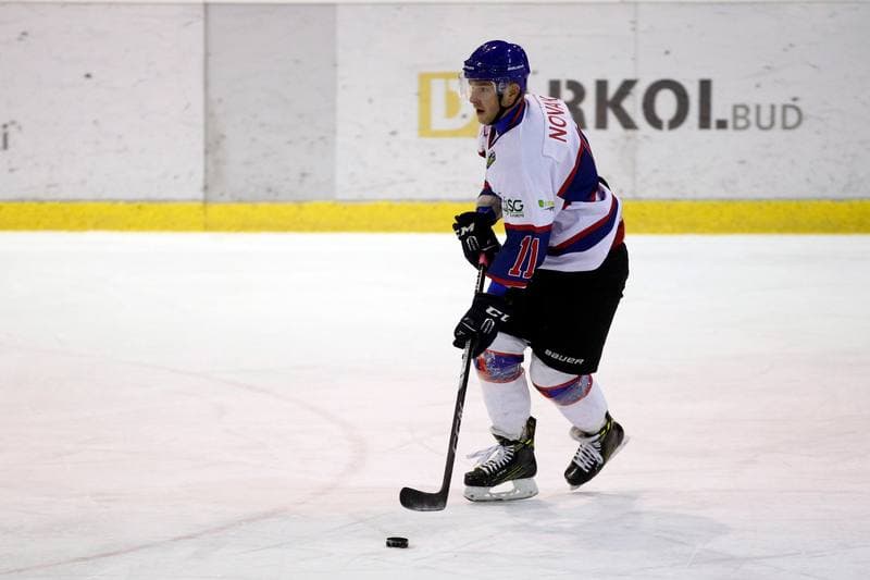 Ice Hockey. Polska Hokej Liga. Polonia Bytom - MH Automatyka Gdansk. 20.02.2018