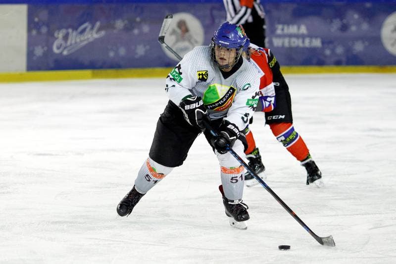 Ice Hockey. PLHK. Naprzod Janow - Polonia Bytom. 24.02.2018