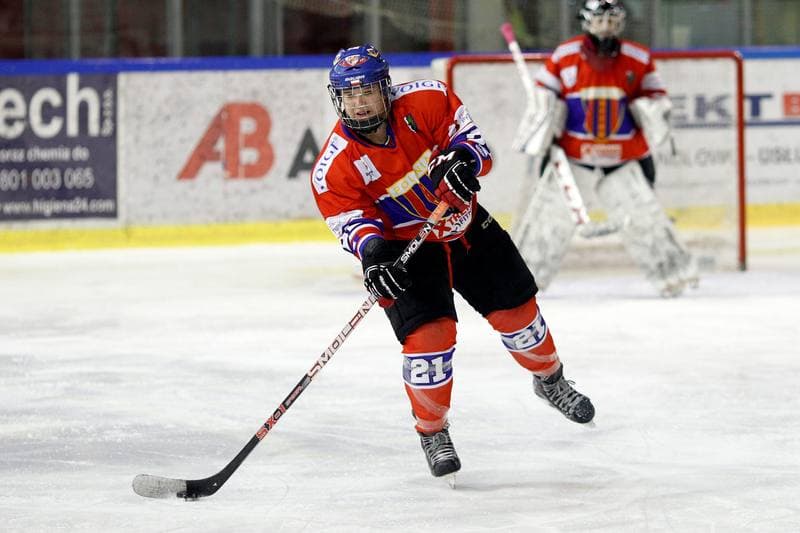 Ice Hockey. PLHK. Naprzod Janow - Polonia Bytom. 24.02.2018