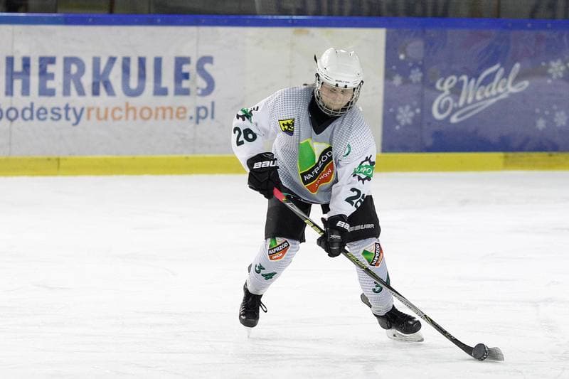 Ice Hockey. PLHK. Naprzod Janow - Polonia Bytom. 24.02.2018