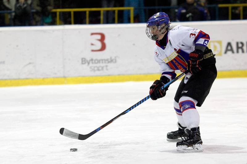 Ice Hockey. PLHK. Polonia Bytom - Stoczniowiec Gdansk. 17.03.2018