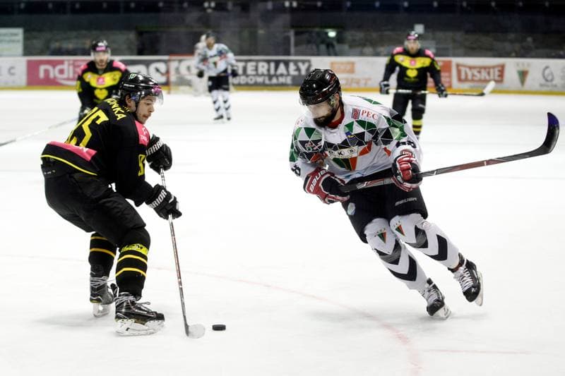 Ice Hockey. Polska Hokej Liga. GKS Tychy - Tauron KH GKS Katowice. 21.03.2018