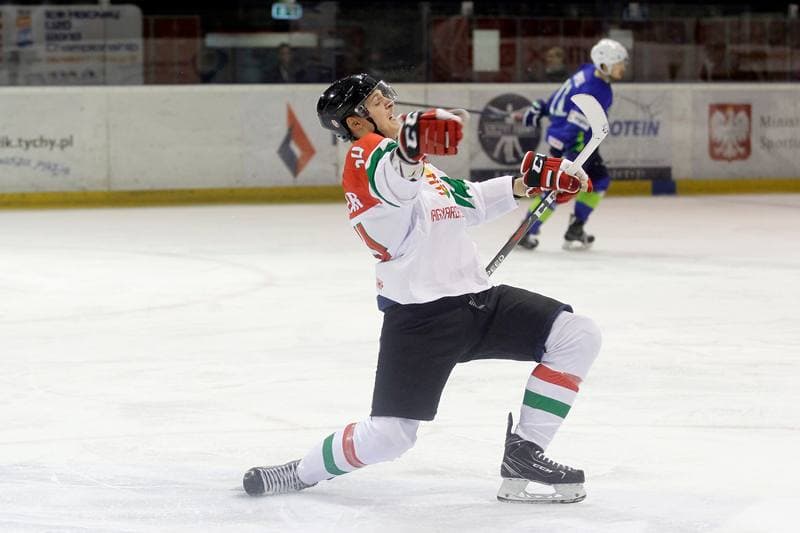 Ice Hockey. U20 World Championship Division 1B. Slovenia - Hungary. 12.12.2018