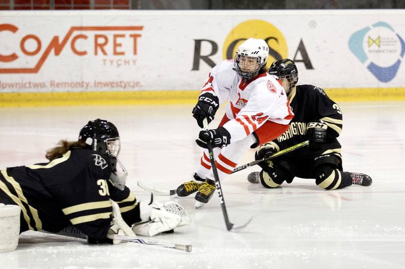 Ice Hockey. Women's Friendly Match. Poland - Washington Pride Hockey. 30.12.2018