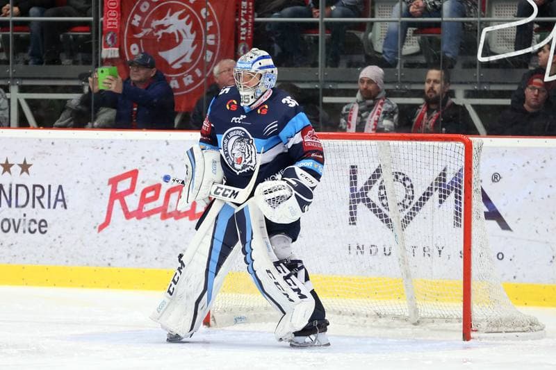 Ice Hockey. Tipsport Extraliga. Ocelari Trinec - Bily Tygri Liberec. 13.02.2019