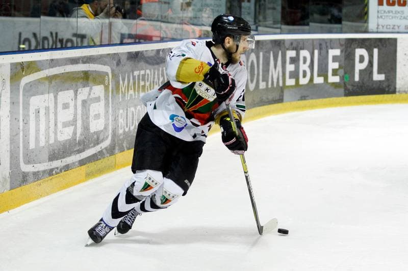 Ice Hockey. PHL. GKS Tychy - Comarch Cracovia. 02.04.2019