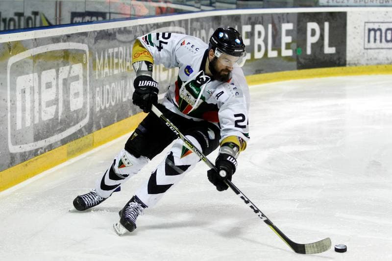 Ice Hockey. PHL. GKS Tychy - Comarch Cracovia. 02.04.2019