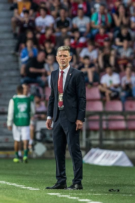 Football. Euro 2020 Qualifiers. Czech Republic - Bulgaria. 07.06.2019