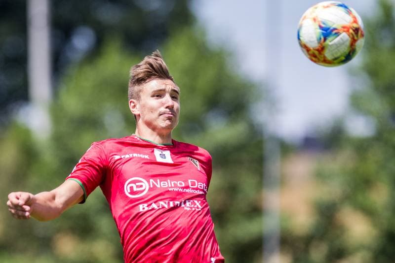 Football. Sparing. Zaglebie Sosnowiec - Fotbal Trinec. 03.07.2019