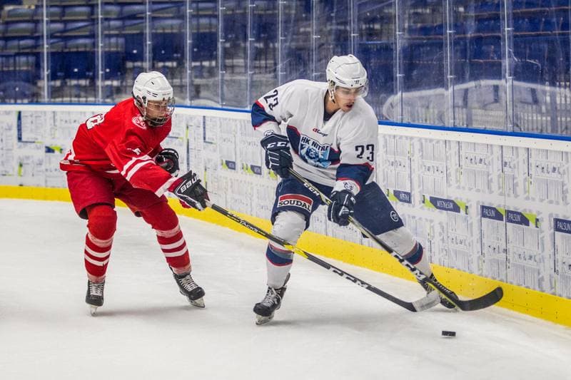 Ice Hockey. Friendly Match. Poland U20 - HK Nitra. 16.08.2019