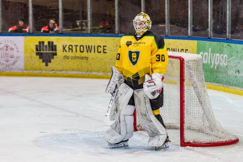 Ice Hockey. PHL. GKS Katowice - JKH GKS Jastrzebie. 03.11.2019