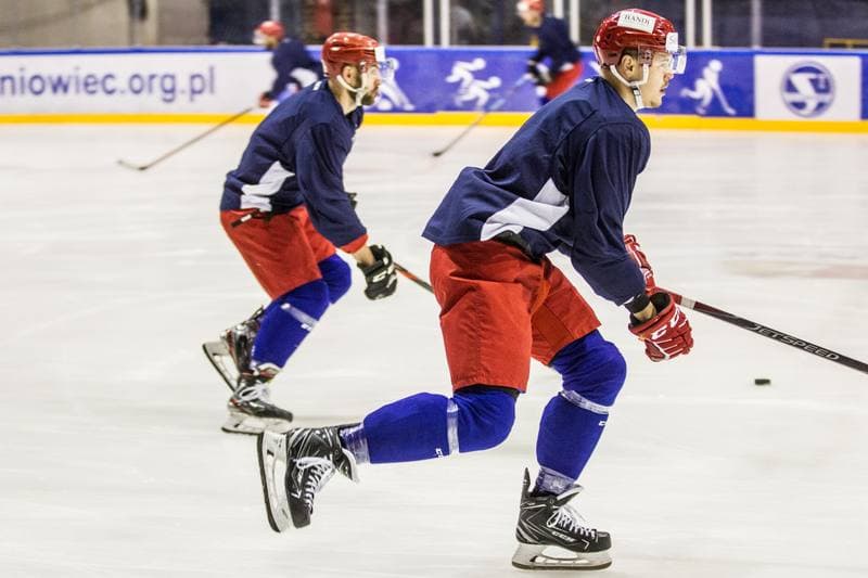 Ice Hockey. Poland national team. Training. 08.11.2019
