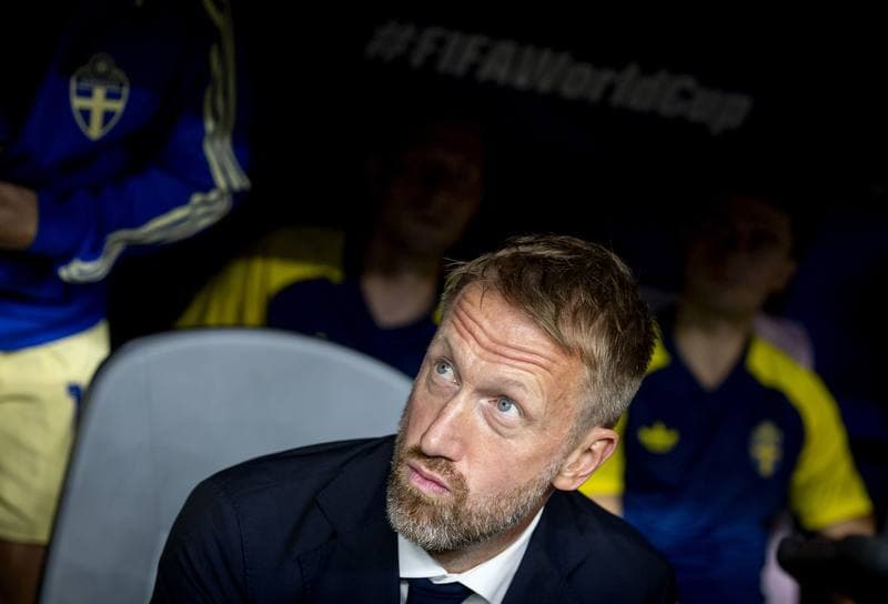 Football. FIFA World Cup. Netherlands - Sweden. 20.06.2026