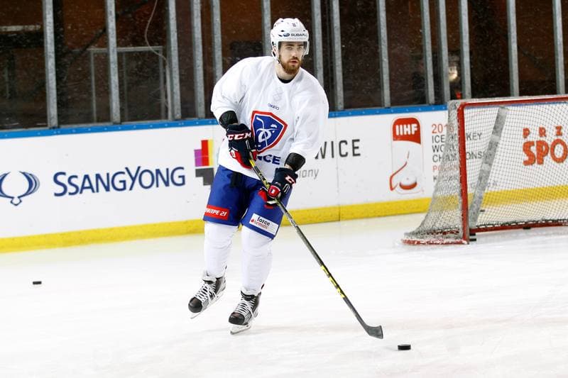 Ice Hockey. France. Training. 15.12.2015