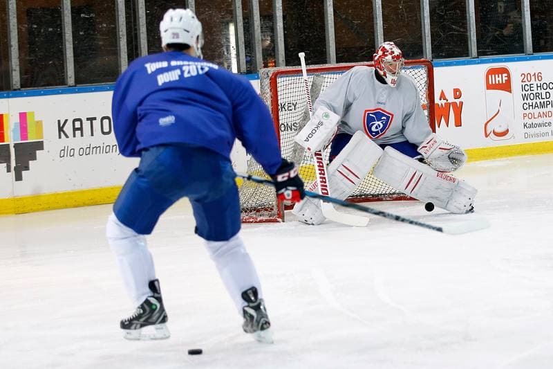 Ice Hockey. France. Training. 15.12.2015
