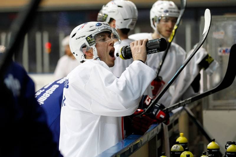 Ice Hockey. France. Training. 15.12.2015
