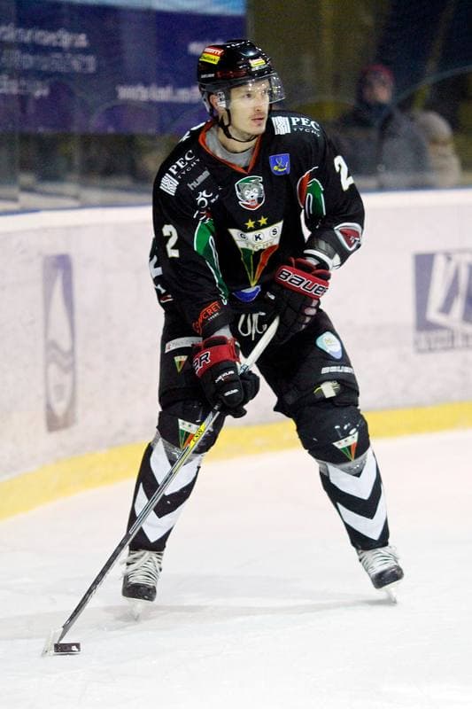 Ice Hockey. Polska Hokej Liga. Tempish Polonia Bytom - GKS Tychy. 06.01.2017