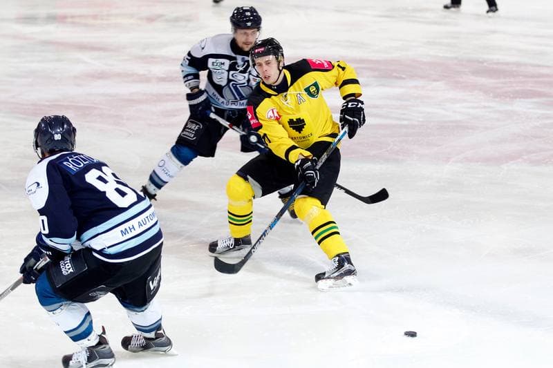 Ice Hockey. Tauron Hokej Liga. Tauron KH GKS Katowice - MH Automatyka Gdansk. 10.01.2017