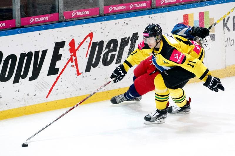 Ice Hockey. Polska Hokej Liga. KH Tauron GKS Katowice - SMS PZHL Sosnowiec. 13.01.2017