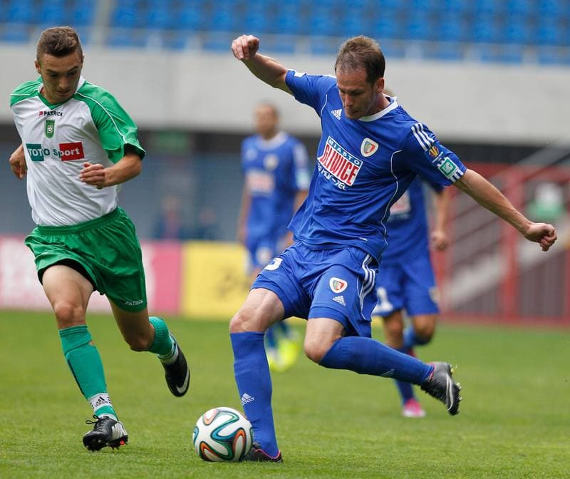 Football. Piast Gliwice. Press Conference. 28.06.2015
