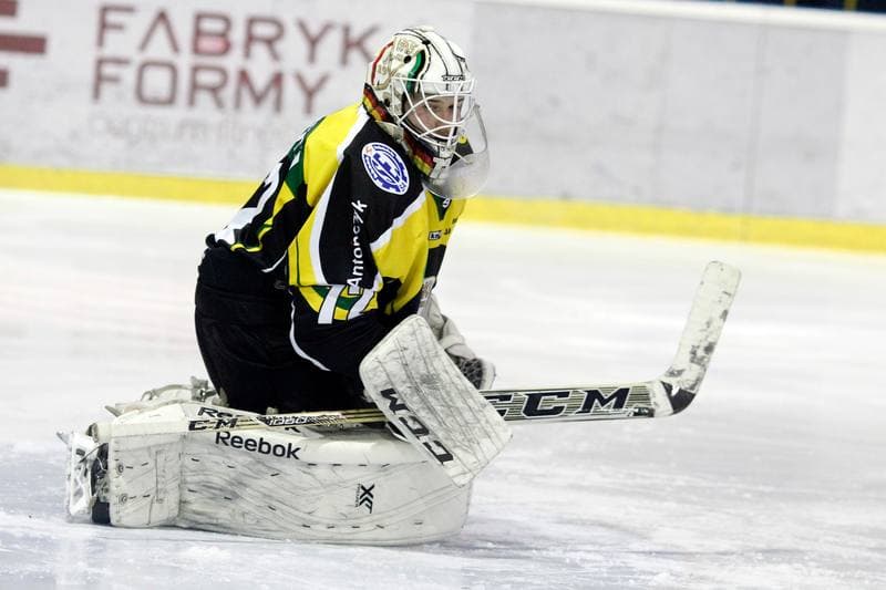 Ice Hockey. Polska Hokej Liga. Tempish Polonia Bytom - JKH GKS Jastrzebie. 20.01.2017