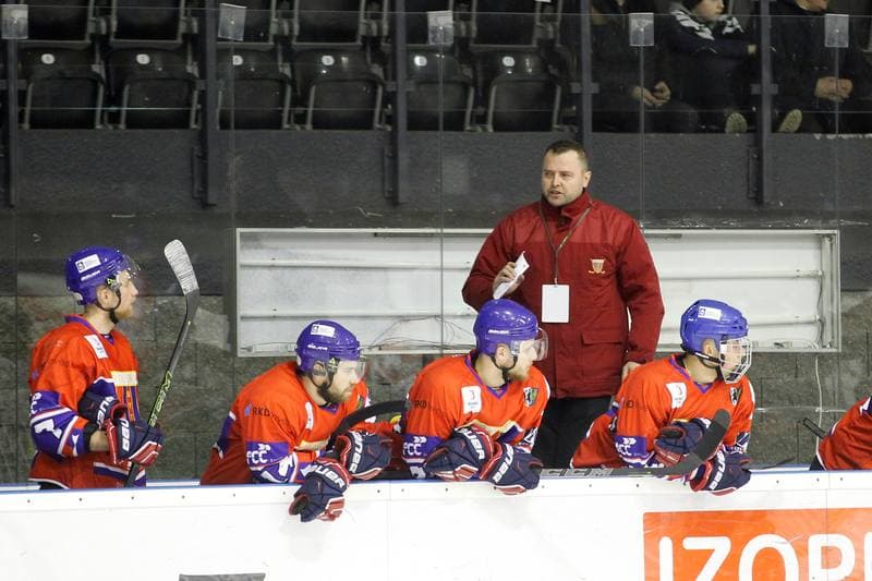 Ice Hockey. Polska Hokej Liga. GKS Tychy - Tempish Polonia Bytom. 22.01.2017