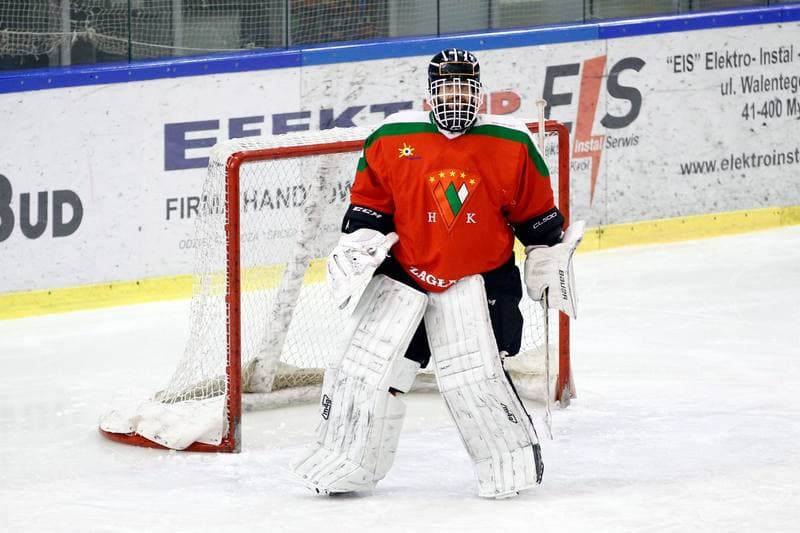 Ice Hockey. I Liga. Naprzod Janow - Zaglebie Sosnowiec. 22.01.2017