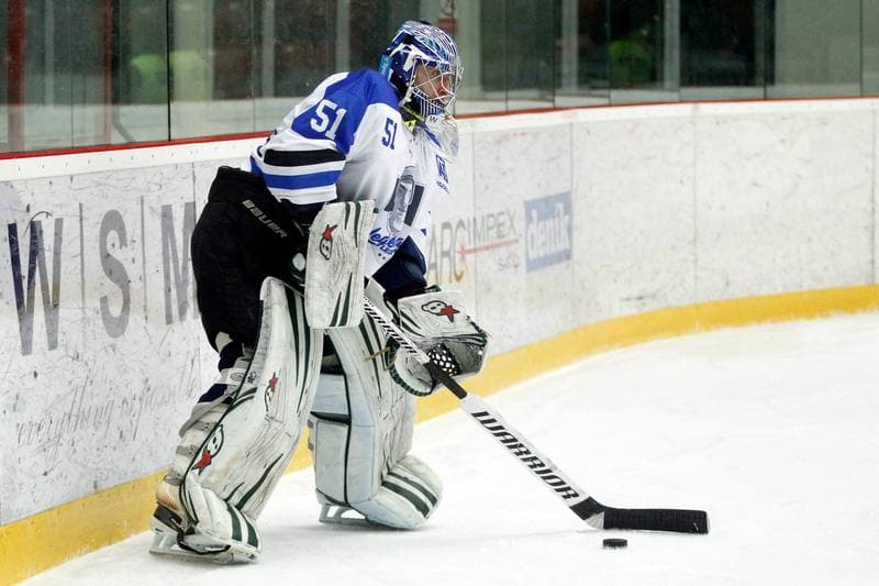 Ice Hockey. WSM Liga. HC Frydek-Mistek - HC AZ Havirov 2010. 30.01.2017