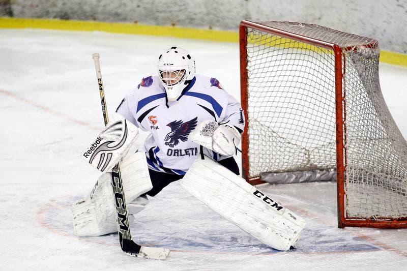 Ice Hockey. Polska Hokej Liga. SMS PZHL Sosnowiec - Tauron KH GKS Katowice. 31.01.2017