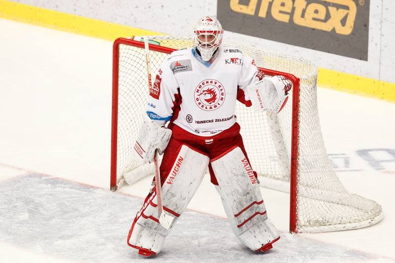 Ice Hockey. Tipsport Extraliga. Ocelari Trinec - Bili Tygri Liberec. 05.02.2017