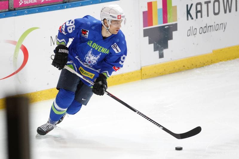 Ice Hockey. Euro Ice Hockey Challenge. Poland - Slovenia. 09.02.2017