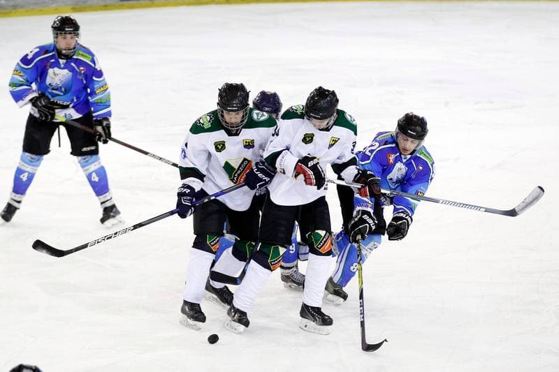 Ice Hockey. I Liga. Naprzod Janow - UKH Debica. 12.02.2017
