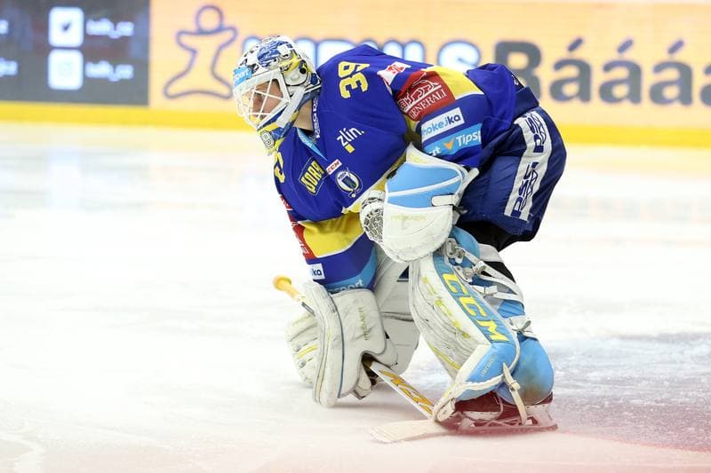 Ice Hockey. Tipsport Extraliga. Ocelari Trinec - PSG Zlin. 19.02.2017
