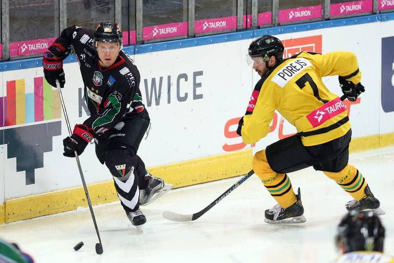 Ice Hockey. Polska Hokej Liga. Tauron KH GKS Katowice - GKS Tychy. 25.02.2017