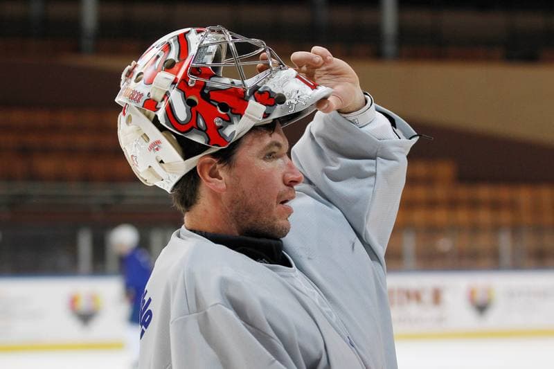 Ice Hockey. France. Training. 15.12.2015
