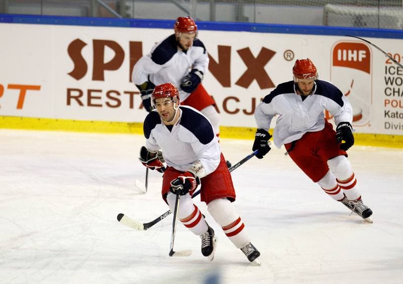 Ice Hockey. Poland national team. Training. 04.11.2015