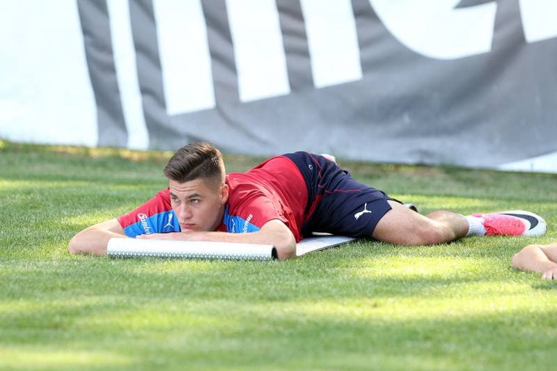 Football. Czech Republic. Training. 15.06.2017