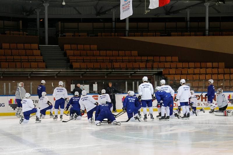 Ice Hockey. France. Training. 15.12.2015