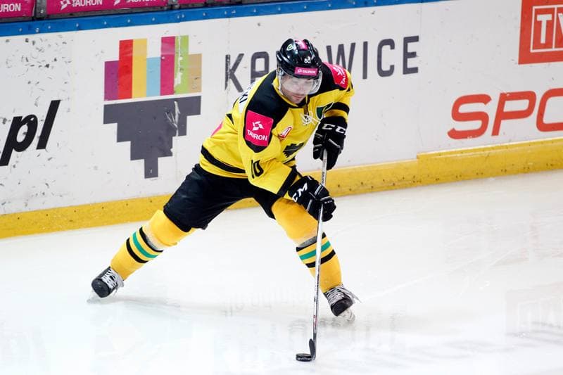 Ice Hockey. Tauron Hokej Liga. Tauron KH GKS Katowice - Nesta Torun. 22.01.2017