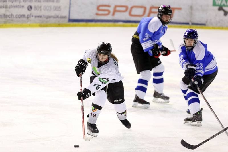 Ice Hockey. PLHK. Naprzod Janow - Stoczniowiec Gdansk. 25.02.2017