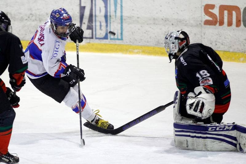 Ice Hockey. PLHK. Polonia Bytom - Atomowki Tychy. 27.01.2017