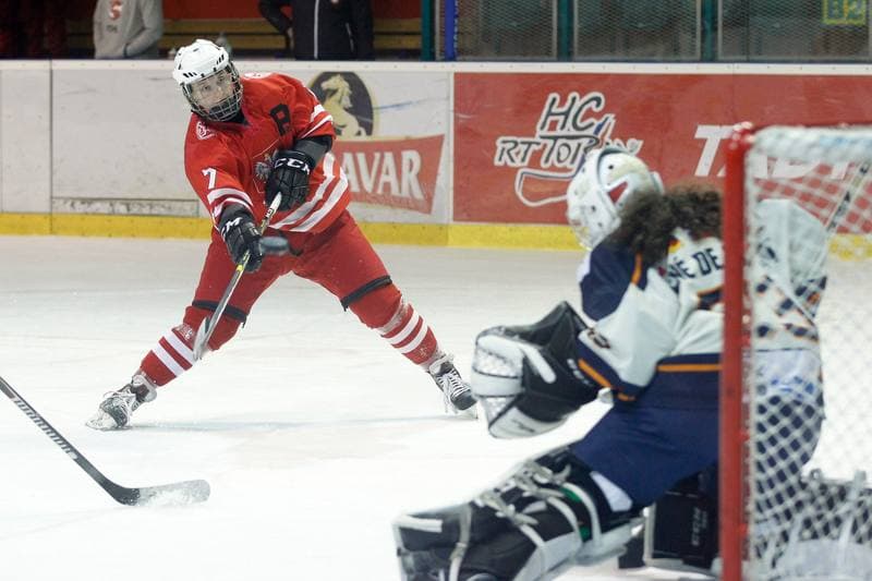 Ice Hockey. Women's Friendly Match. Poland - Ontario. 04.04.2017
