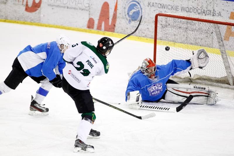 Ice Hockey. I Liga. Naprzod Janow - Hokej Poznan. 18.02.2017