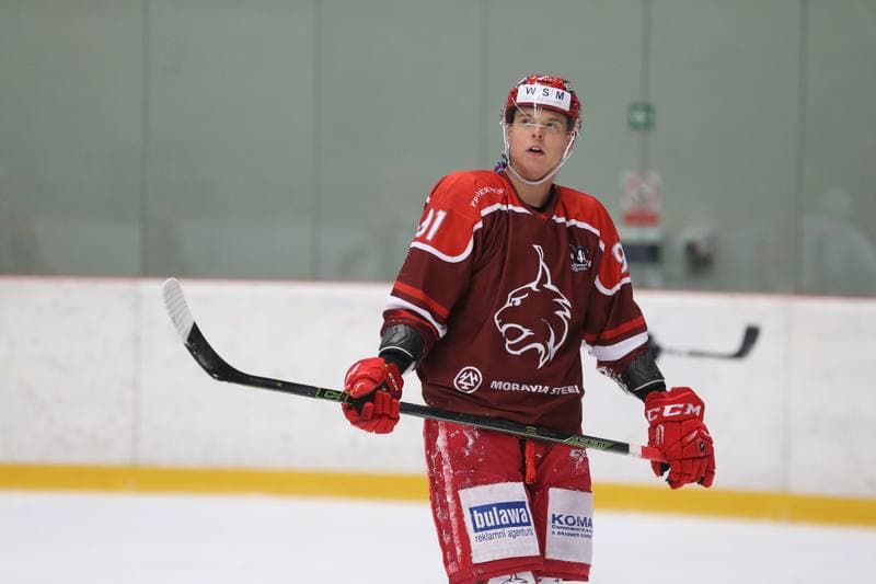 Ice Hockey. WSM Liga. HC Frydek-Mistek - HC Benatky nad Jizerou. 20.02.2017