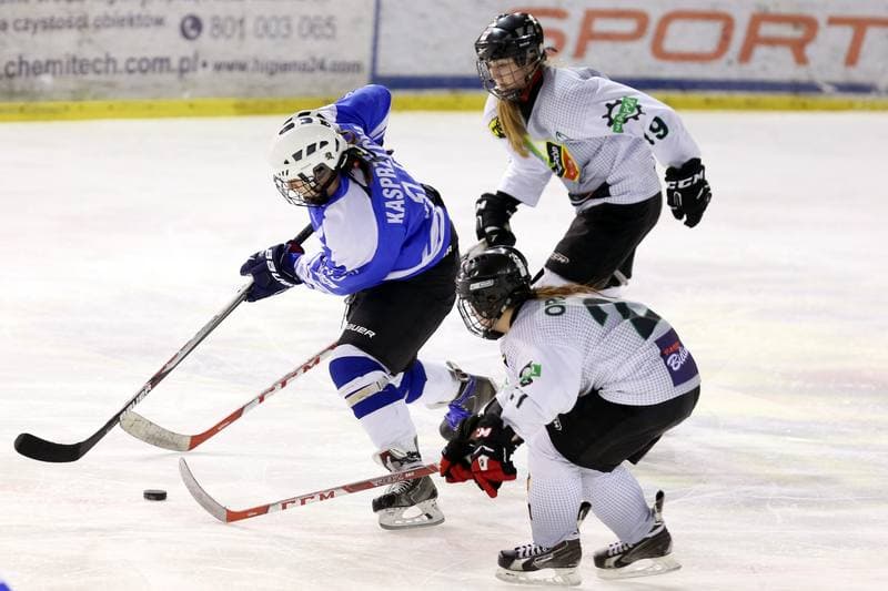 Ice Hockey. PLHK. Naprzod Janow - Stoczniowiec Gdansk. 25.02.2017