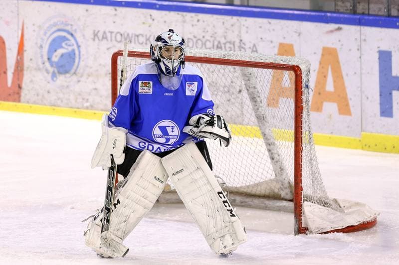Ice Hockey. PLHK. Naprzod Janow - Stoczniowiec Gdansk. 25.02.2017