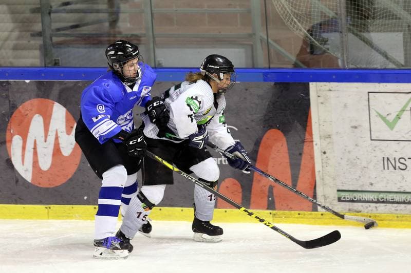 Ice Hockey. PLHK. Naprzod Janow - Stoczniowiec Gdansk. 25.02.2017