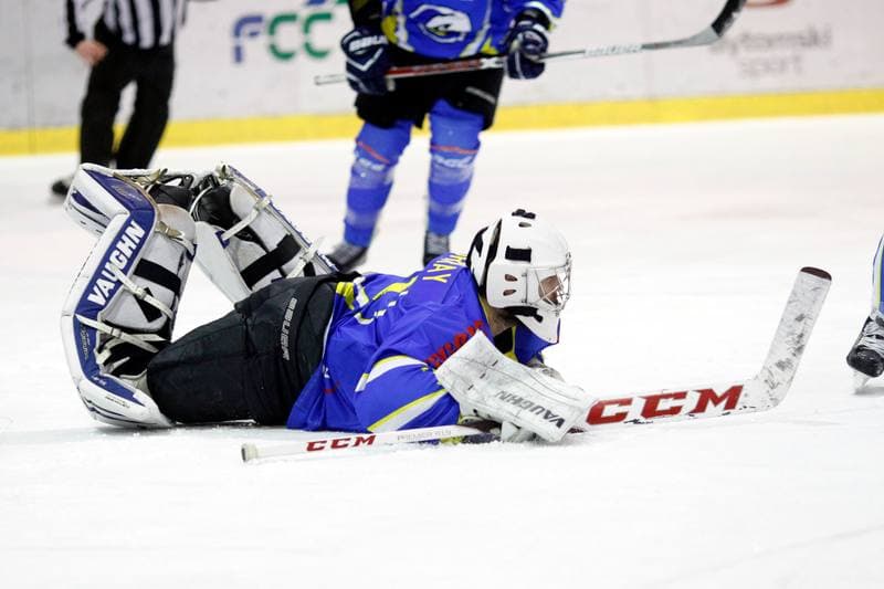 Ice Hockey. Polska Hokej Liga. Tempish Polonia Bytom - Orlik Opole. 01.03.2017